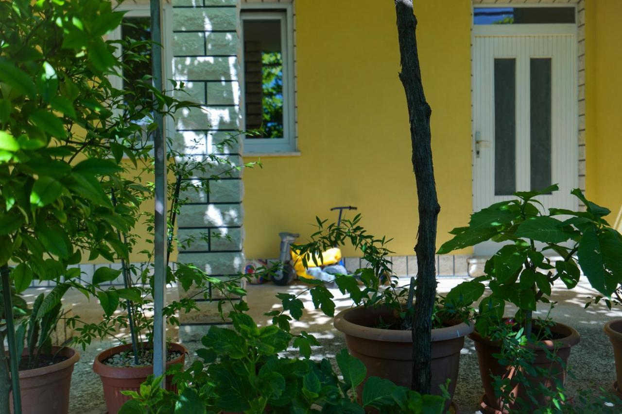 Apartment Jardin With Free Cowered Parking Zadar Exterior foto